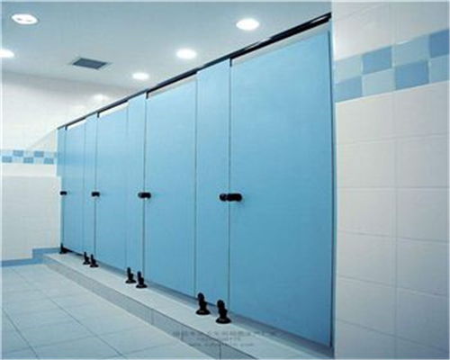 資陽復合板衛(wèi)生間隔斷工程